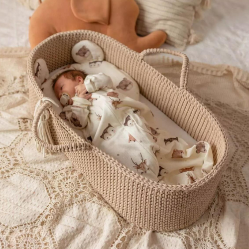Transitioning from Moses Basket to Cot Tips for a Smooth Change The Baby Den