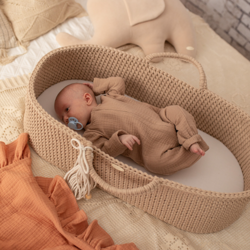 Moses basket in bed best sale