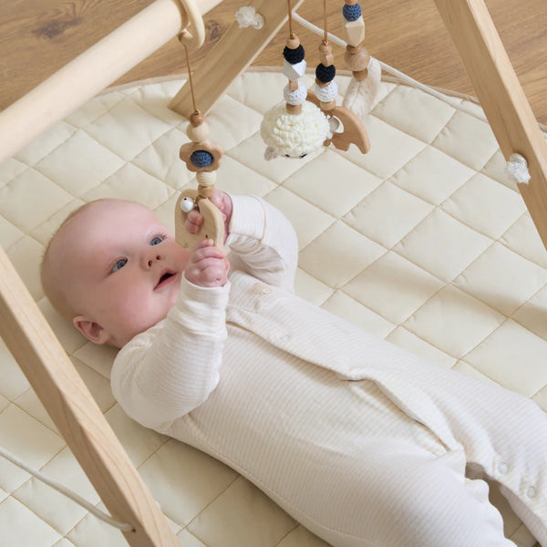 Clair de Lune Wooden Baby Play Gym with Hanging Toys